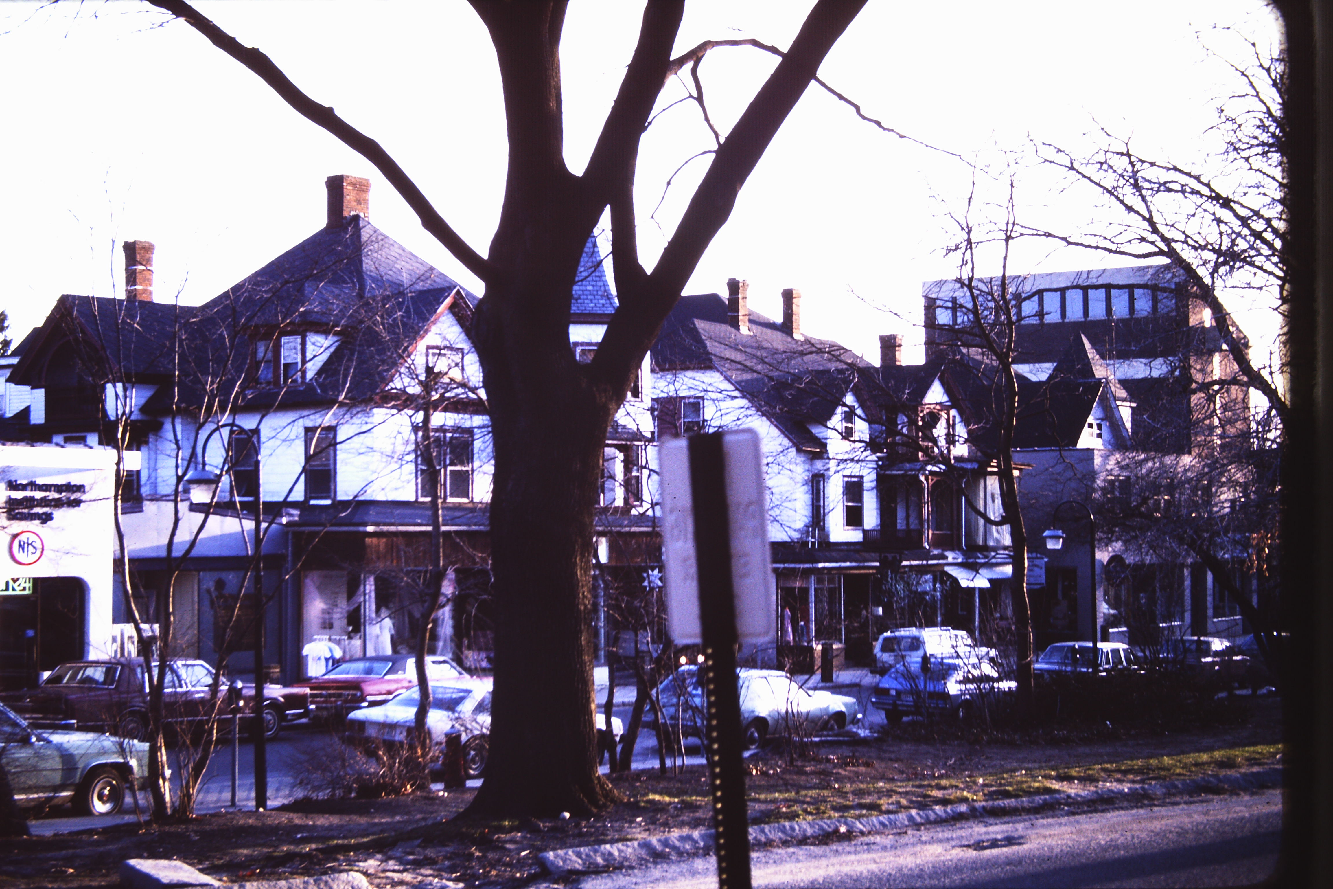 My beautiful picture