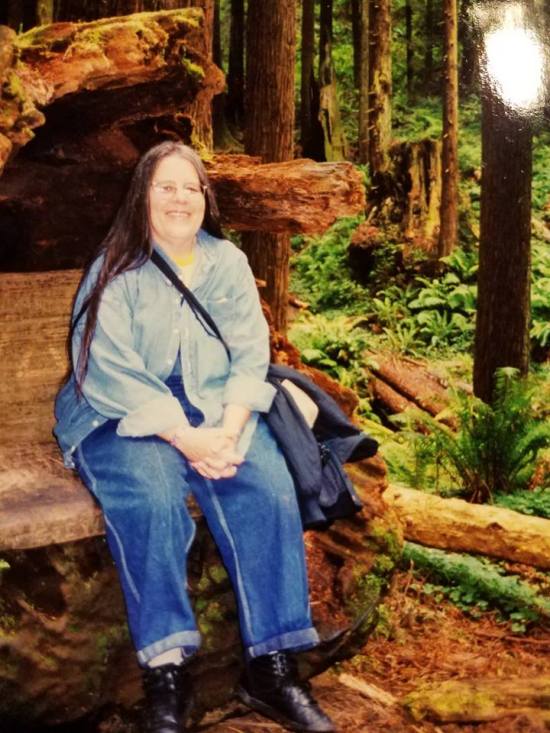 JEL redwoods 1990 Abrahams photo